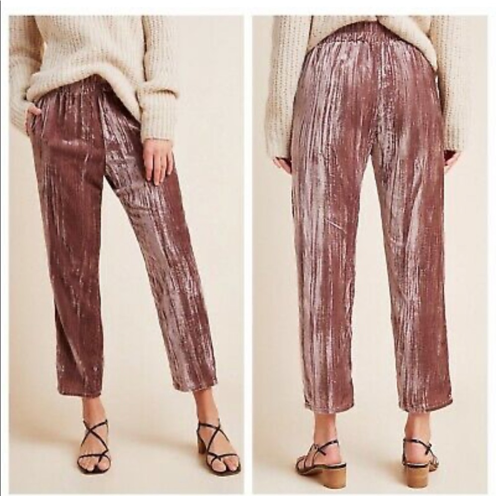 Brand new Tina Jo pants from Anthropology